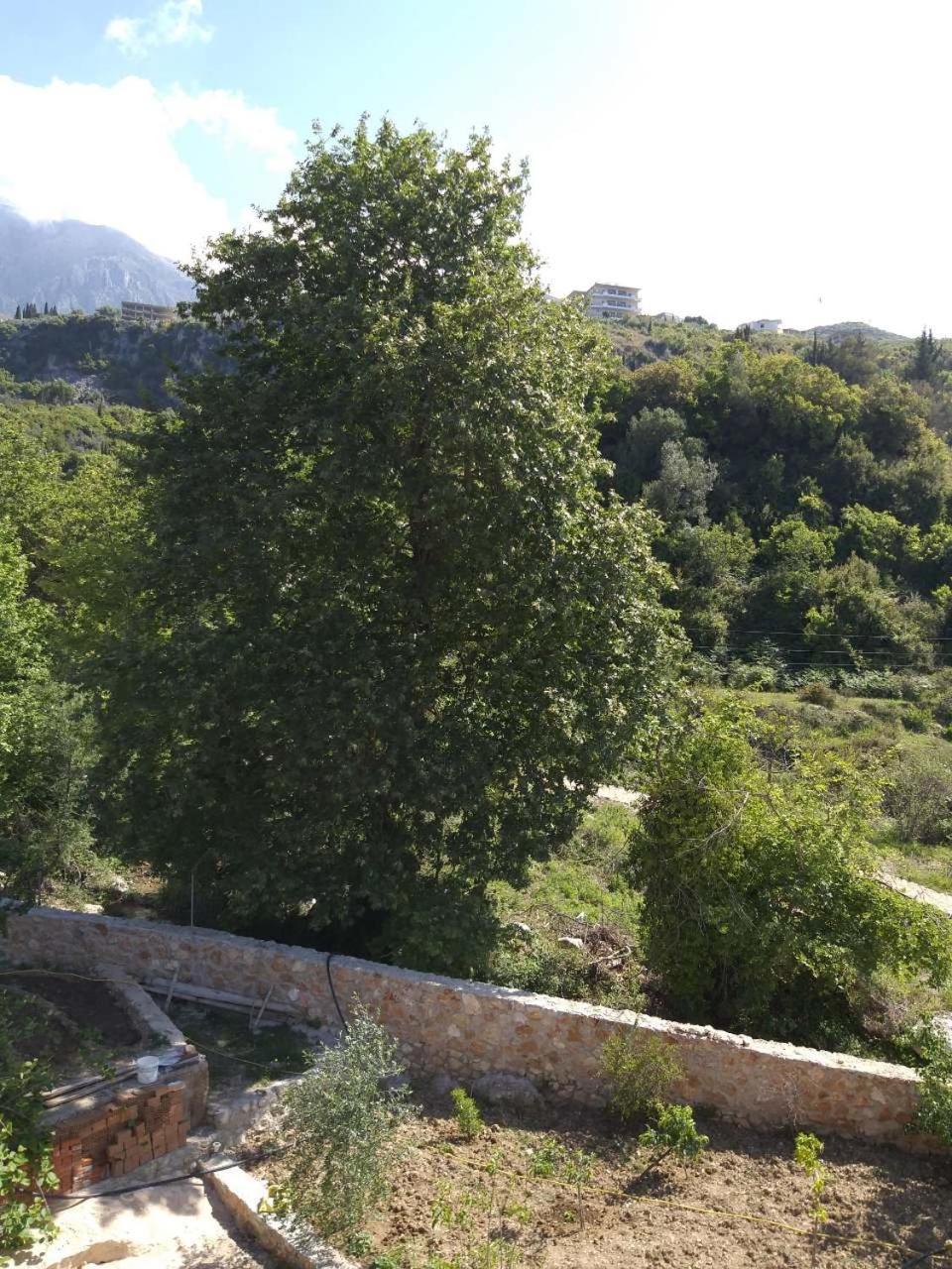Afrodite 3* Dhërmi